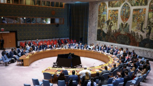 Se espera que EEUU vete nueva resolución sobre Gaza en el Consejo de Seguridad