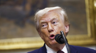 Trump, 'caso Epstein una caccia alle streghe, pubblicare i nomi nei file'