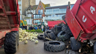 Agricultores franceses protestam contra o Mercosul em frente &agrave; casa de praia de Macron