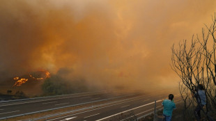 Incendies: l'Espagne se consume dans le nord-ouest et l'ouest