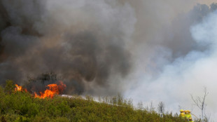 Sánchez propone un pacto nacional por "emergencia climática" en plenos incendios en España