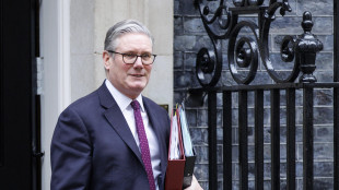 Starmer, 'Londra al fianco della Danimarca sulla Groenlandia'