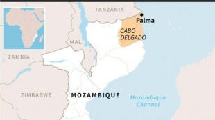Huge Mozambique gas project restarts after five-year pause