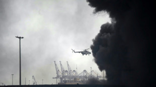 14 Tote und 750 Verletzte bei Explosion in iranischem Hafen an Straße von Hormus