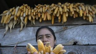 Fears of hunger overwhelm Guatemalan village as El Nino approaches