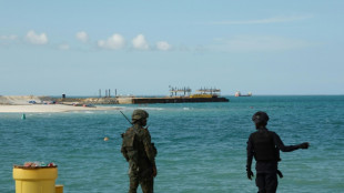 Mozambique: les jihadistes sèment la panique, tactique avant le retour de TotalEnergies?