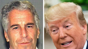 Email Epstein, 'io l'unico in grado di abbattere Trump'