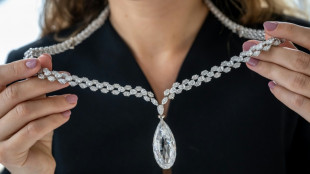 Christie's inicia venta de joyas de millonaria vinculada al nazismo, pese a críticas