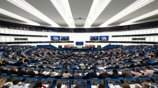 El Parlamento Europeo aprueba una nueva generaci&oacute;n de OGM
