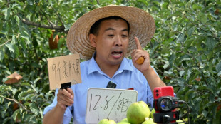 En Chine, des "néo-paysans" devenus influenceurs pour promouvoir le terroir