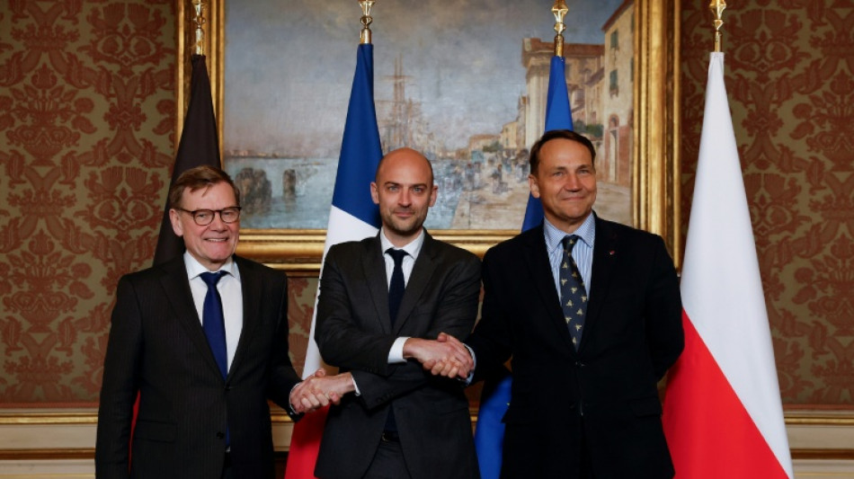 Gr&ouml;nland: Wadephul begr&uuml;&szlig;t geplantes Treffen Rubios mit D&auml;nemark