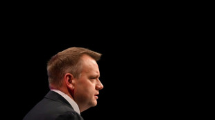 Fracasan las negociaciones sobre la participación británica en el programa europeo de defensa