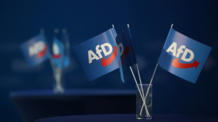 AfD-nahe Stiftung verlangt F&ouml;rderung des Bundes
