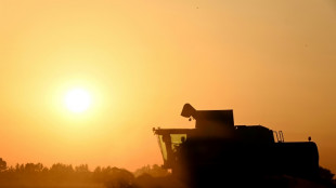 Agriculture: le Parlement adopte la loi Duplomb et la réintroduction sous conditions d'un pesticide