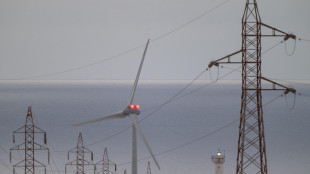 Madrid, 'blackout fu causato dall'eccessiva tensione'