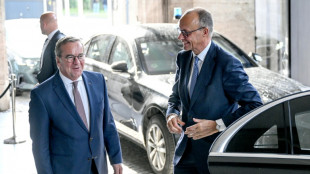 Bundeskabinett billigt Pistorius' Wehrdienst-Modell