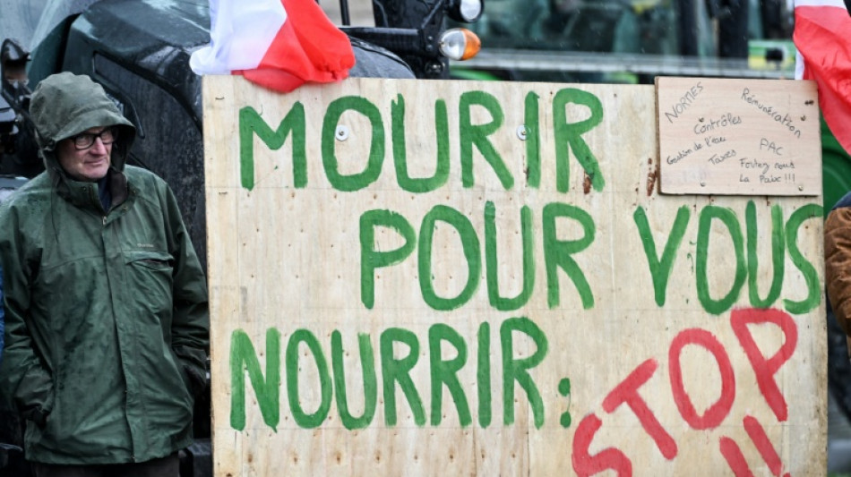 El Parlamento Europeo remite a la justicia el acuerdo comercial con Mercosur