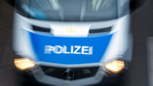15-J&auml;hriger liefert sich Verfolgungsjagd mit Polizei und verletzt Beamte