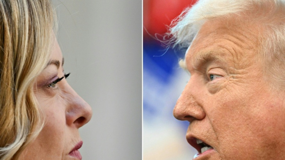 Trump sorgt mit neuer Breitseite gegen Meloni f&uuml;r Emp&ouml;rung