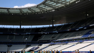 Decenas de detenidos y 6 heridos en Par&iacute;s por incidentes antes de la final de la copa francesa