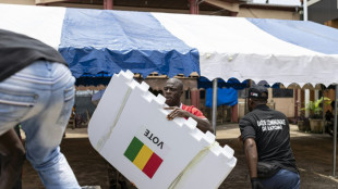Guinea stimmt über umstrittene neue Verfassung ab - Opposition boykottiert Wahl