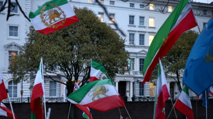 Hijo del sah depuesto de Ir&aacute;n exhorta a manifestantes a "prepararse para tomar" centros de ciudades