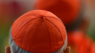Les violences sexuelles dans l'Eglise, défi majeur du prochain pape