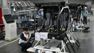 On rare earth supply, Trump for once seeks allies