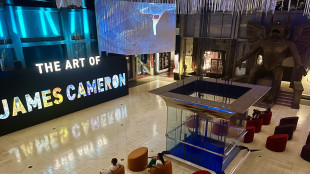 Il Museo del Cinema compie 25 anni e prepara il videomapping