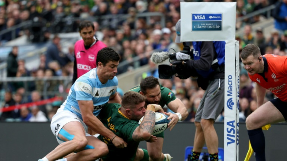 L'Afrique du Sud remporte le Rugby Championship pour la deuxième année consécutive