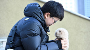 En Chine, les animaux robots dotés d'IA consolent une jeunesse solitaire