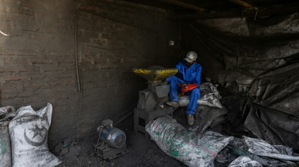 Au Tchad, les premiers pas de la filière d'un prétendu "charbon écologique"