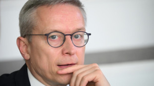 Digitalminister Wildberger reist zu Gesprächen nach Washington
