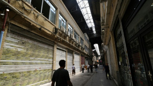 Premios Nobel iraníes y un galardonado en Cannes piden el "fin de hostilidades" entre Irán e Israel