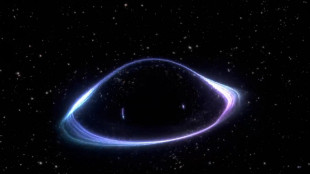 Premiato con 1 milione il progetto europeo su nuova astronomia