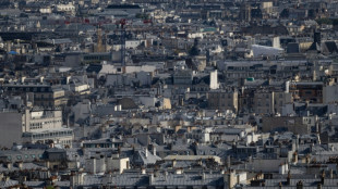 Sous le zinc, la fournaise: &agrave; Paris, le casse-t&ecirc;te du rafra&icirc;chissement des toits