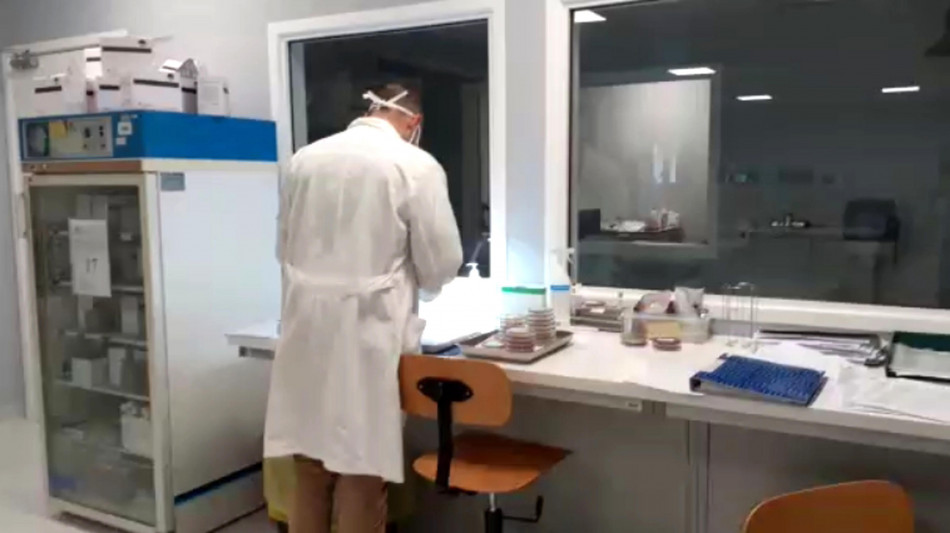 Più vicina l'identificazione dell'antico cranio di Petralona