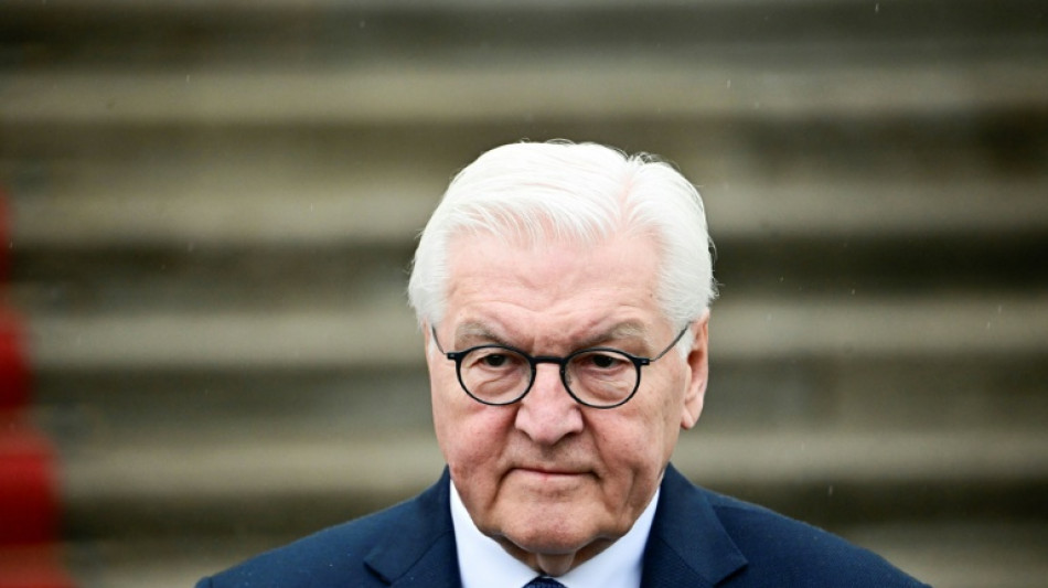 Steinmeier: Deutsche lieben keinen "Ruck" bei Reformen