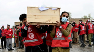 Pakistan and Afghanistan announce Eid 'pause' in hostilities