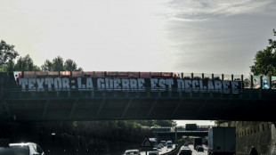 "Textor dehors!": colère et dépit des supporters de l'OL, relégué en Ligue 2